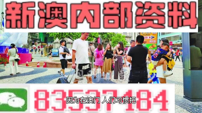 2024新澳精准资料免费提供|构建解答解释落实旗舰版250.330