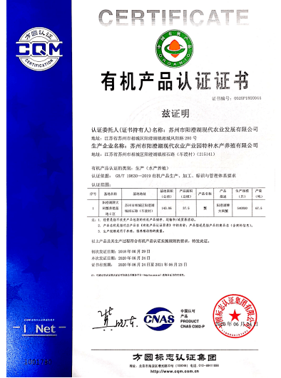 澳门100%最准的一肖|精选解释解析落实定制版230.284