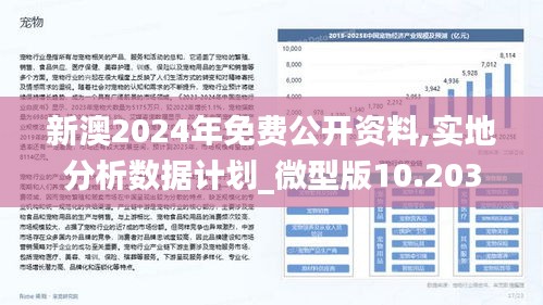 2024新澳精准资料免费|词语释义解释落实 专业版240.305