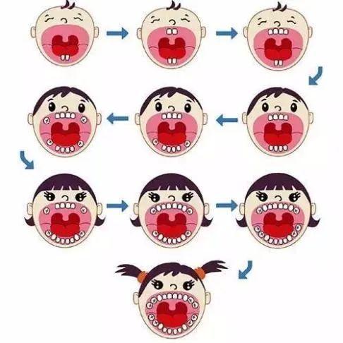 九个月宝宝不长牙是正常的吗？解读宝宝牙齿生长规律与影响因素