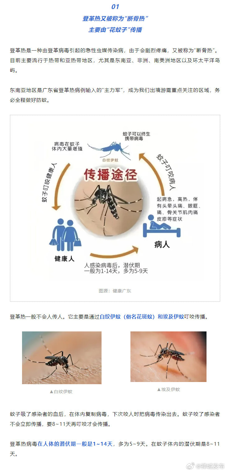 广东省登革热主要通过途径分析