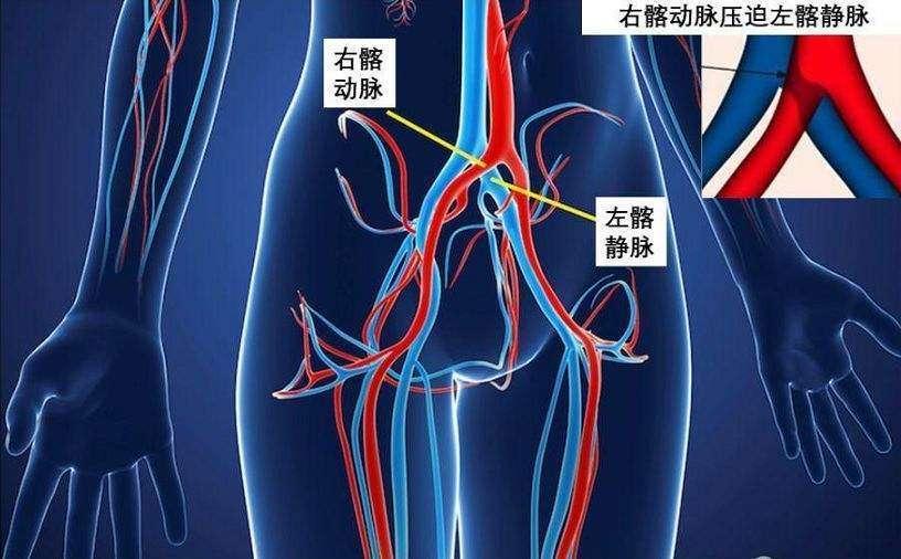 广东省血管外科的发展与现状