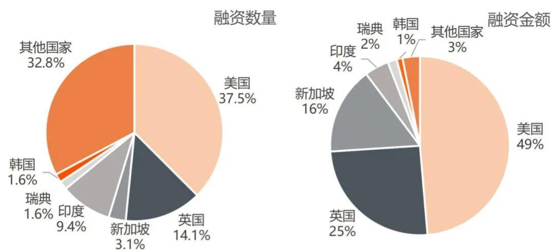 广东字节跳动有限公司，探索数字领域的先驱