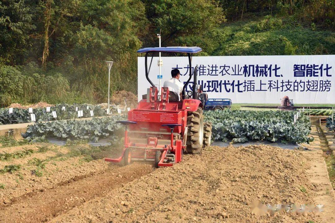 广东克勤种子有限公司，耕耘种子产业，铸就绿色未来