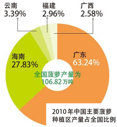 广东省菠萝分布图，揭示菠萝产业的地理格局与发展趋势