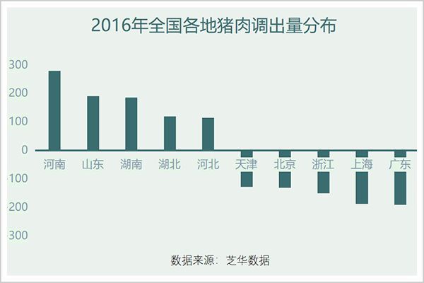 广东省温氏投资策略，多元化投资与稳健发展的典范