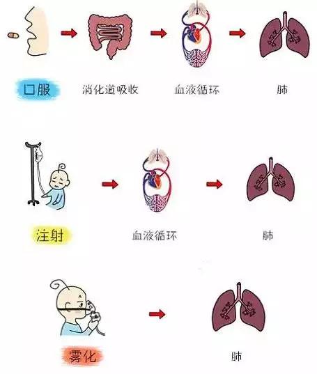 六个月宝宝雾化副作用解析