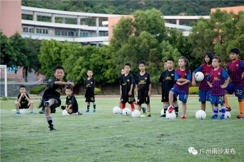 广东省教学考试院，探索教育评估与考试制度的先行者