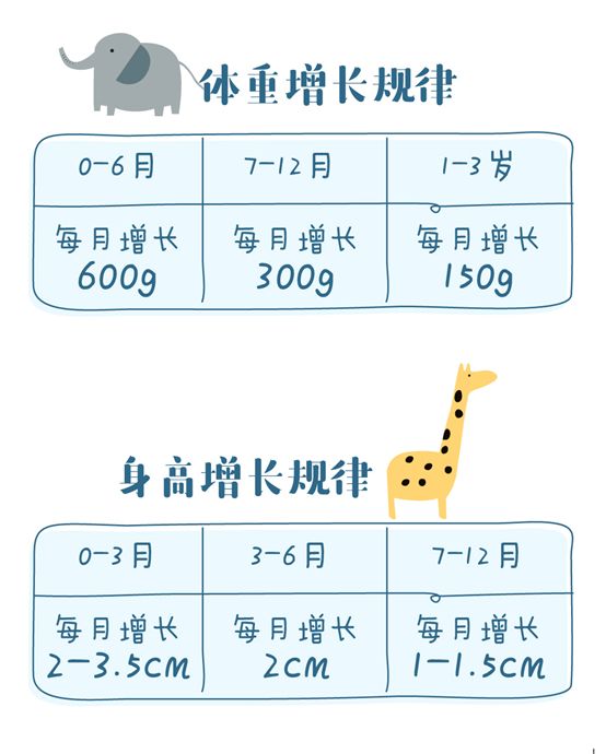 宝宝成长里程碑，关于宝宝19个月身高体重的探讨