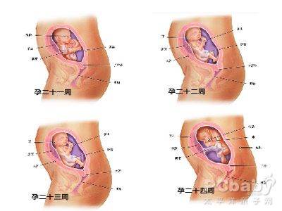 六个月宝宝发育标准解析