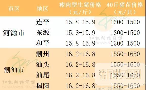 广东省今日生猪价格概览