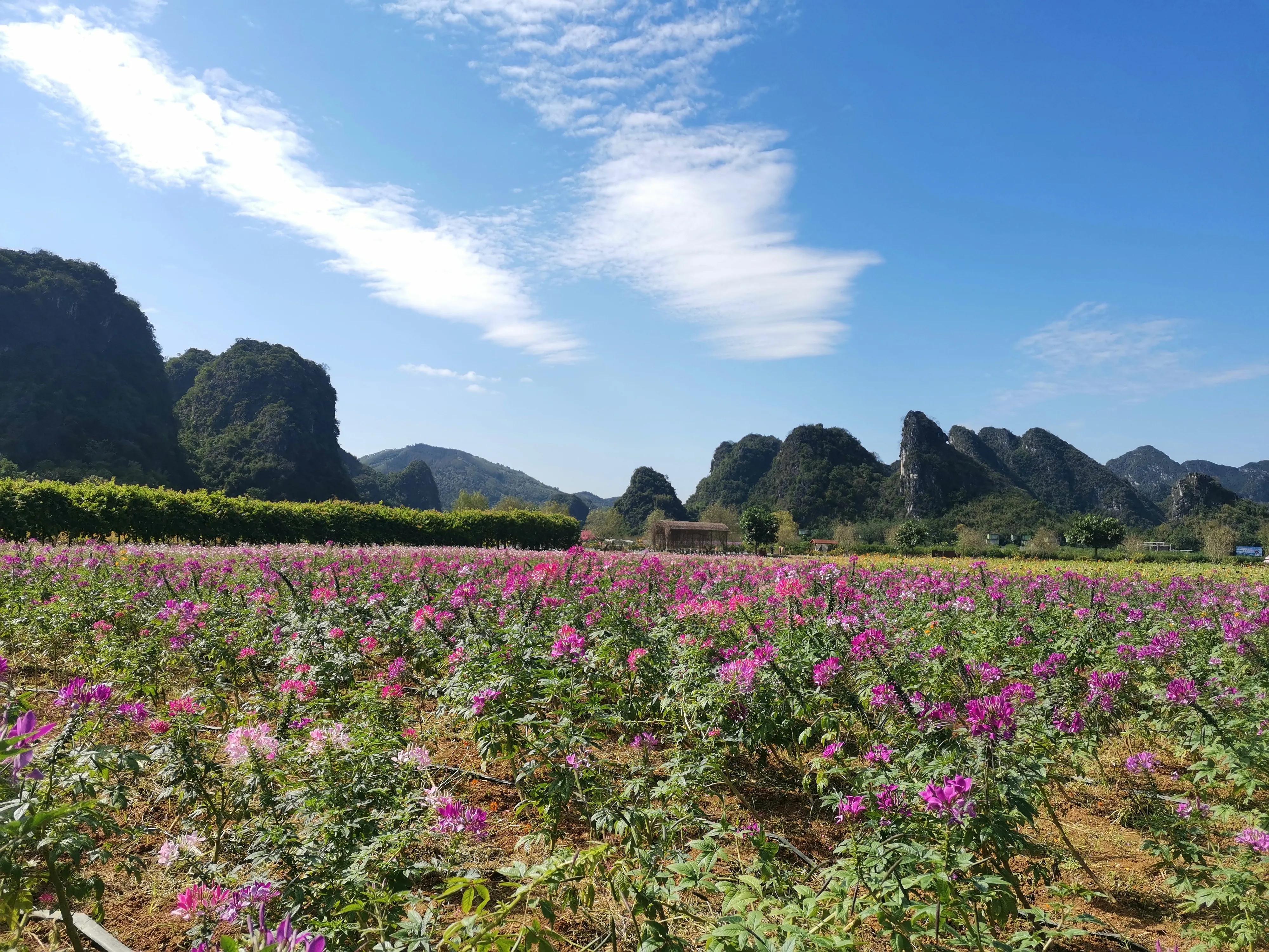 桂林至广东，一段火车之旅的深情叙述