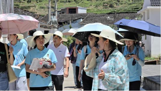 广东乡村大地有限公司，乡村振兴的引领者