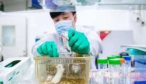 广东省动物实验人员要求及其重要性和影响